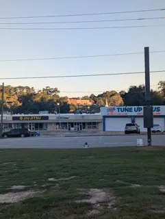 Steve's Tune Up Plus