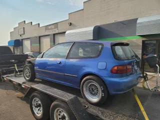 Nip n Tuck Performance