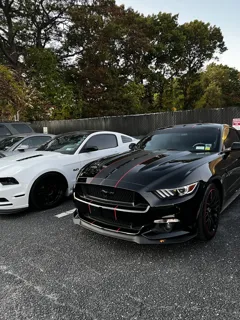 Mustang Magic & American Muscle