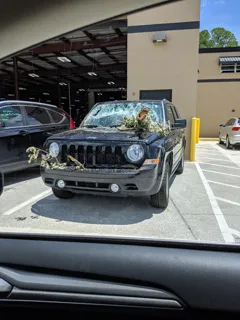 Caliber Collision