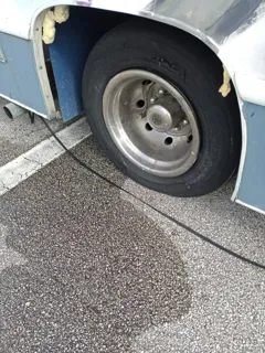 Tire Kingdom