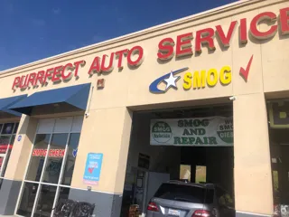 purrfect auto service #17